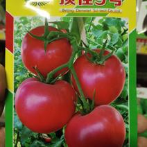 西红柿种子顶佳9号抗重茬耐裂亩3袋