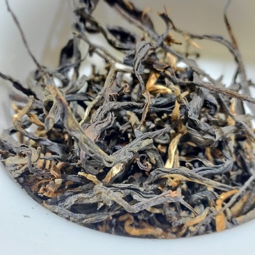 滇红_高香红