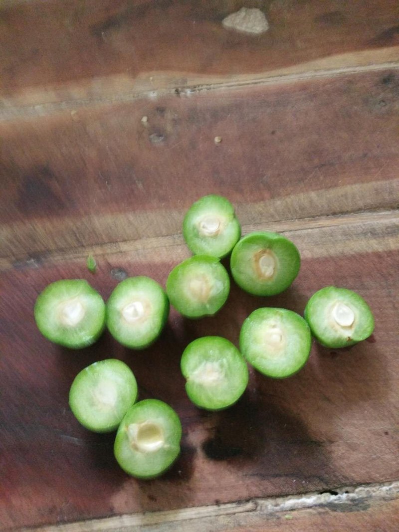 李子青果陕西，果脯厂