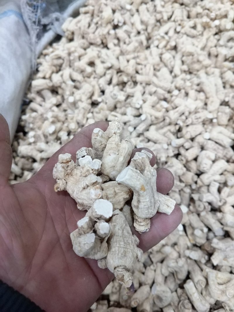 【西洋参粒头】长白山自产西洋参粒头精品货一手货源包邮