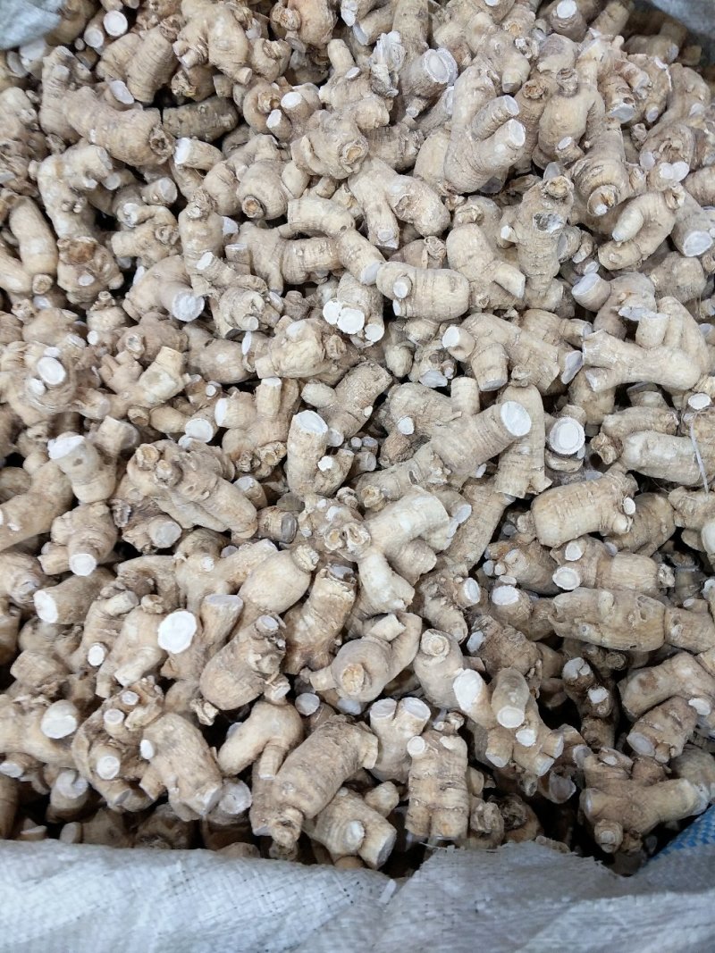 【西洋参粒头】长白山自产西洋参粒头精品货一手货源包邮