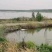 山东微山湖万亩龙虾养殖基地，大量出售虾苗，欢迎实地考察。