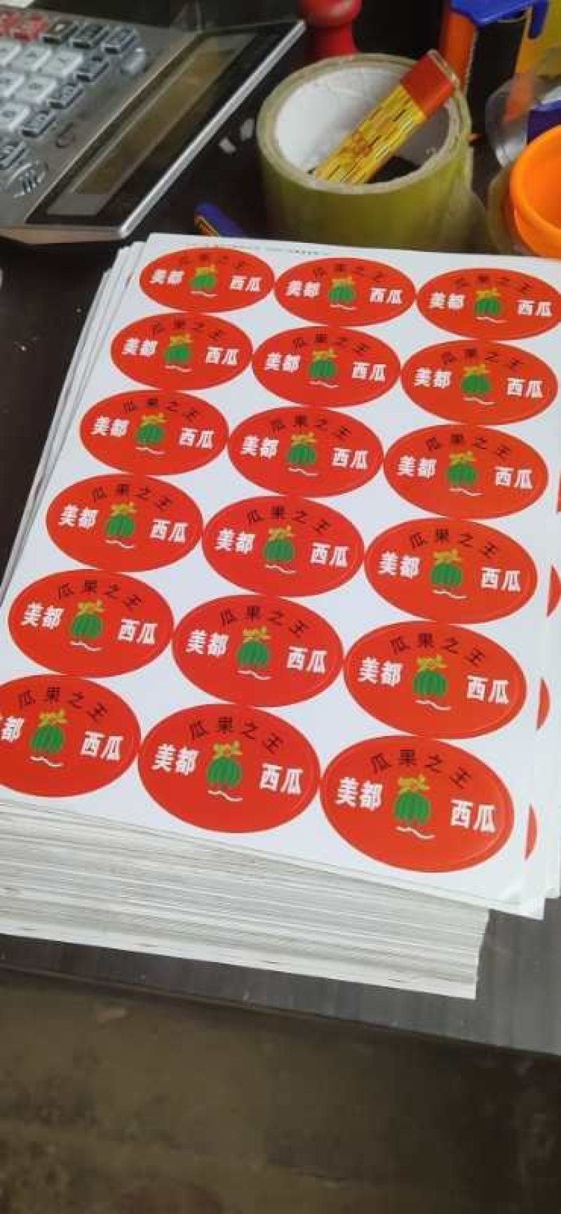 精品8424西瓜籽苗黑籽美都麒麟