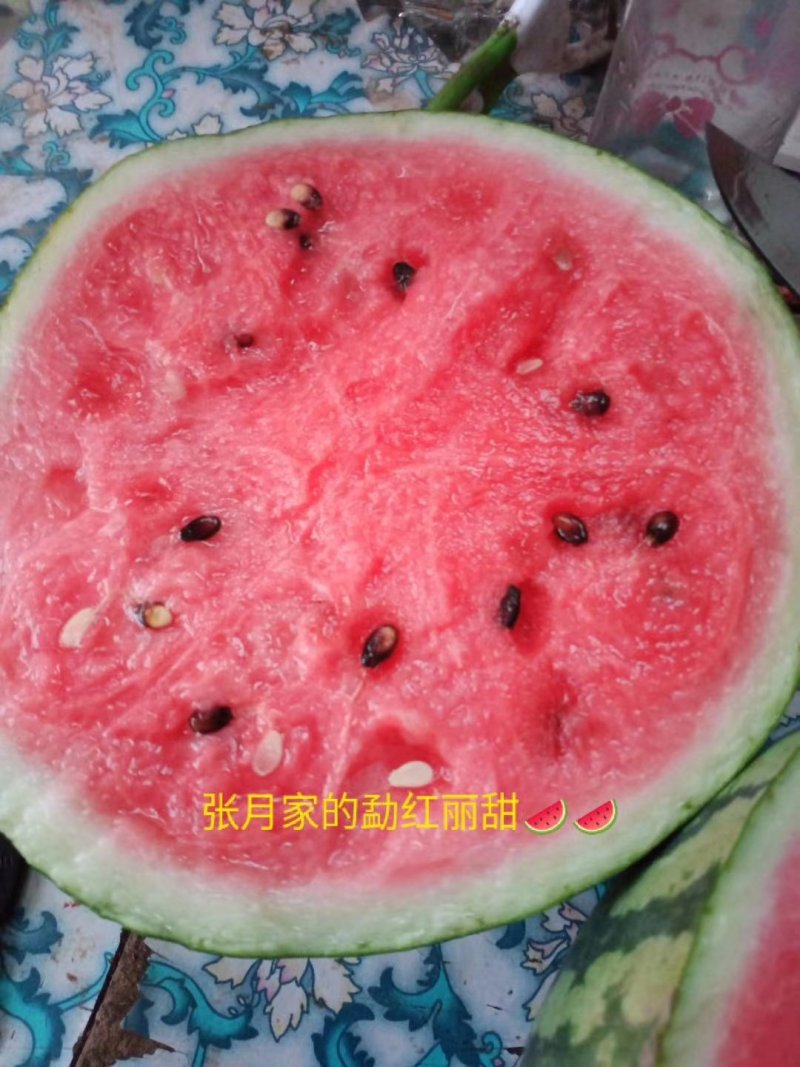 甜王西瓜，大量上市馆陶县众康果品大量供应各种货源