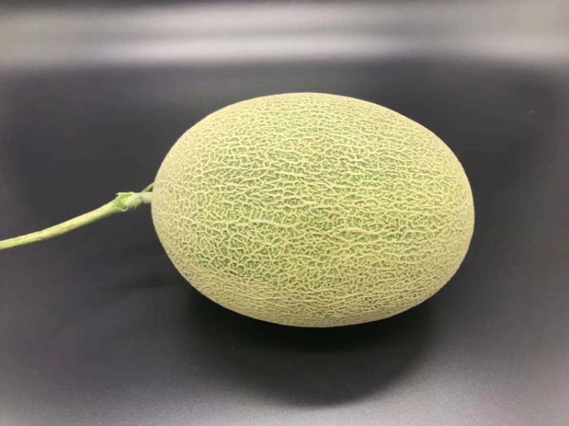 新疆火焰山西洲蜜25号