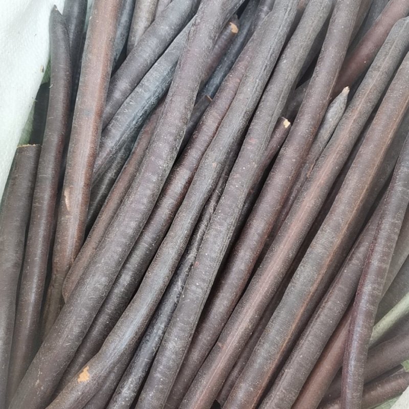 便秘果新货，无蛀虫，油量大，大量批发零售