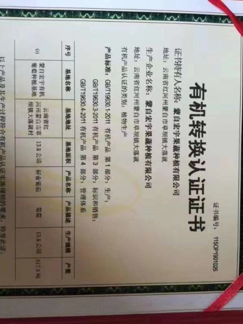 江苏夏黑葡萄上市中口感好价格便宜质量很好