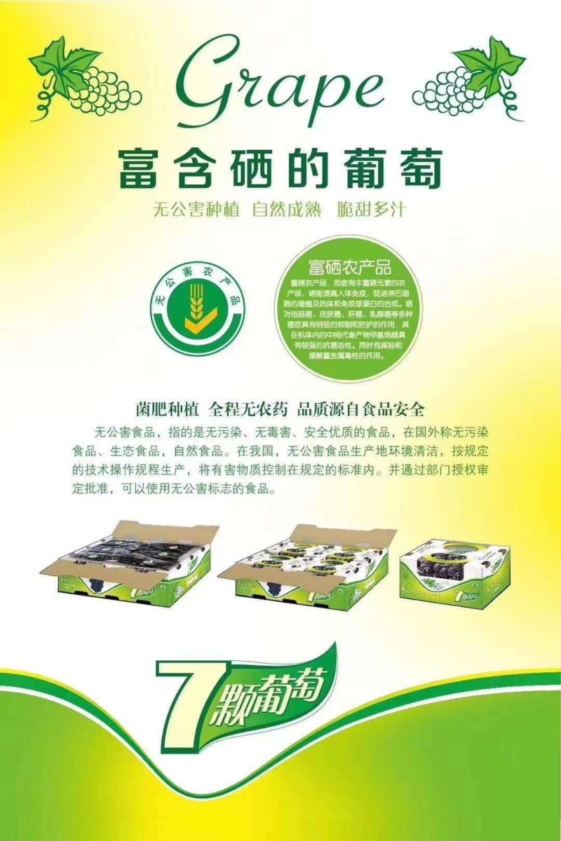 江苏夏黑葡萄上市中口感好价格便宜质量很好