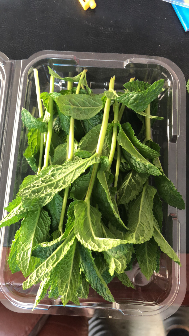 薄荷叶基地大量供应薄荷叶新鲜和干品薄荷叶