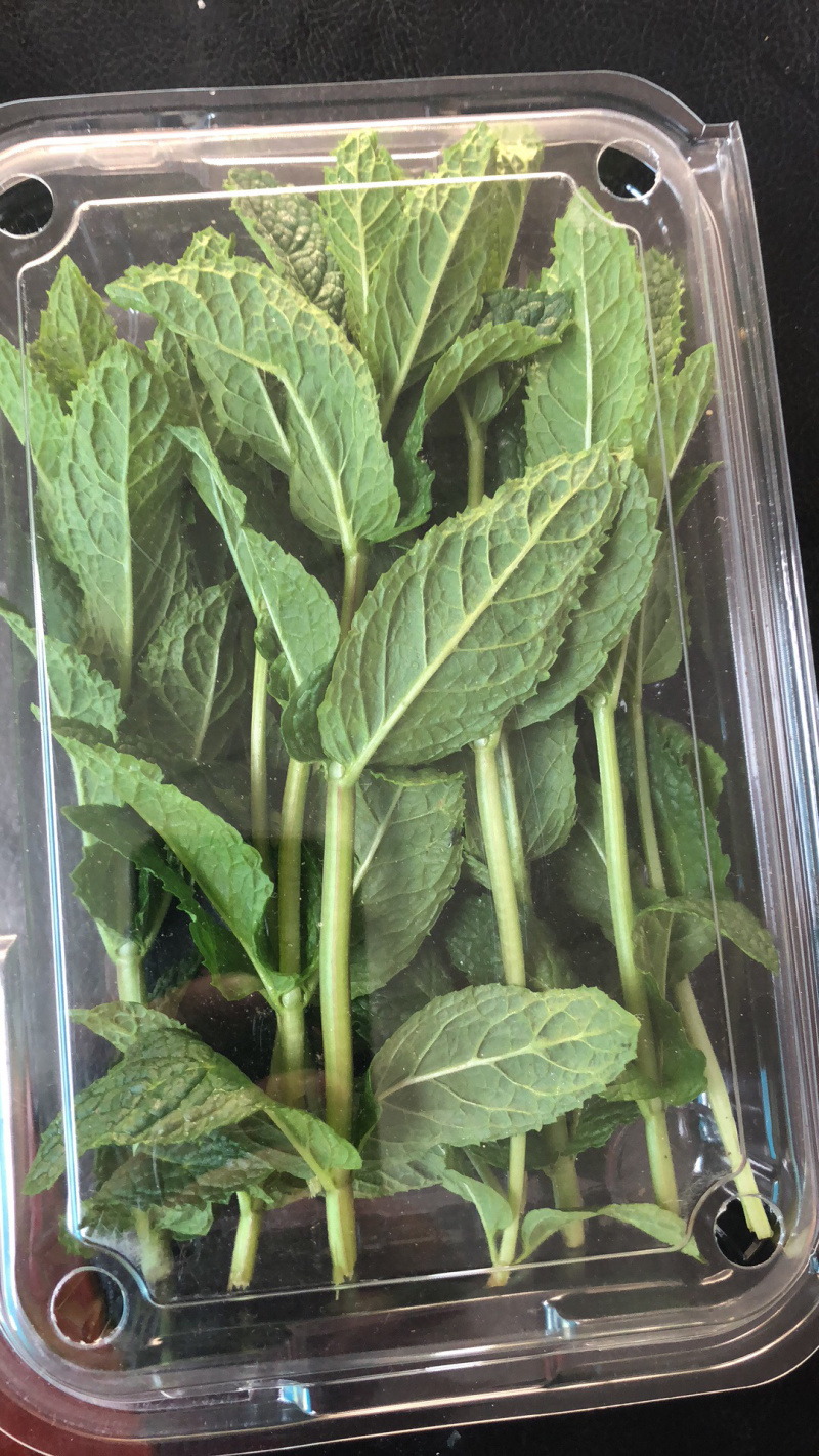 薄荷叶基地大量供应薄荷叶新鲜和干品薄荷叶