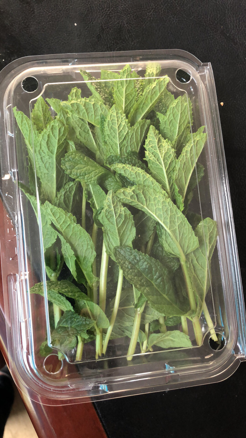 薄荷叶基地大量供应薄荷叶新鲜和干品薄荷叶