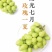 江苏阳光玫瑰口感特好串行好看价格优美