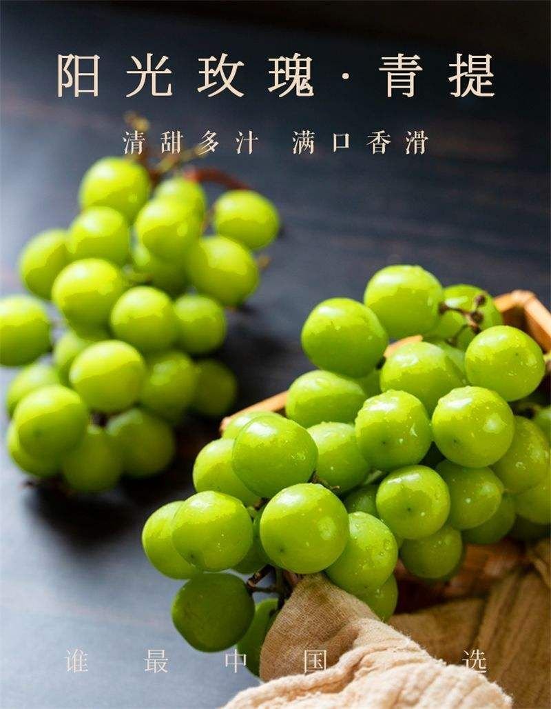 江苏阳光玫瑰口感特好串行好看价格优美