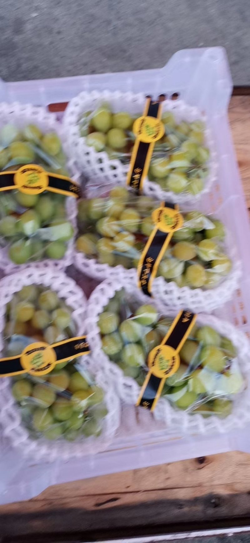 江苏阳光玫瑰口感特好串行好看价格优美