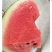 砀山8424西瓜大量上，质量好，价格便宜