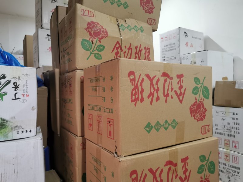 金边玫瑰