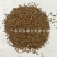 厂家批发源头发货红三叶绿化边坡草种子可试种发芽率高草量大