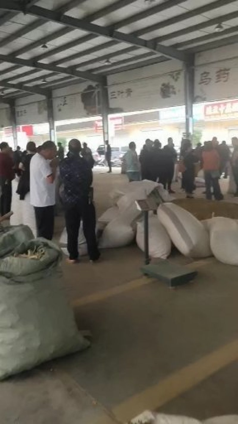 覆盆子道地浙江产各种中药材无硫