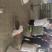 覆盆子道地浙江产各种中药材无硫