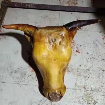 牛下水，羊下水，纯草原绿色食品，