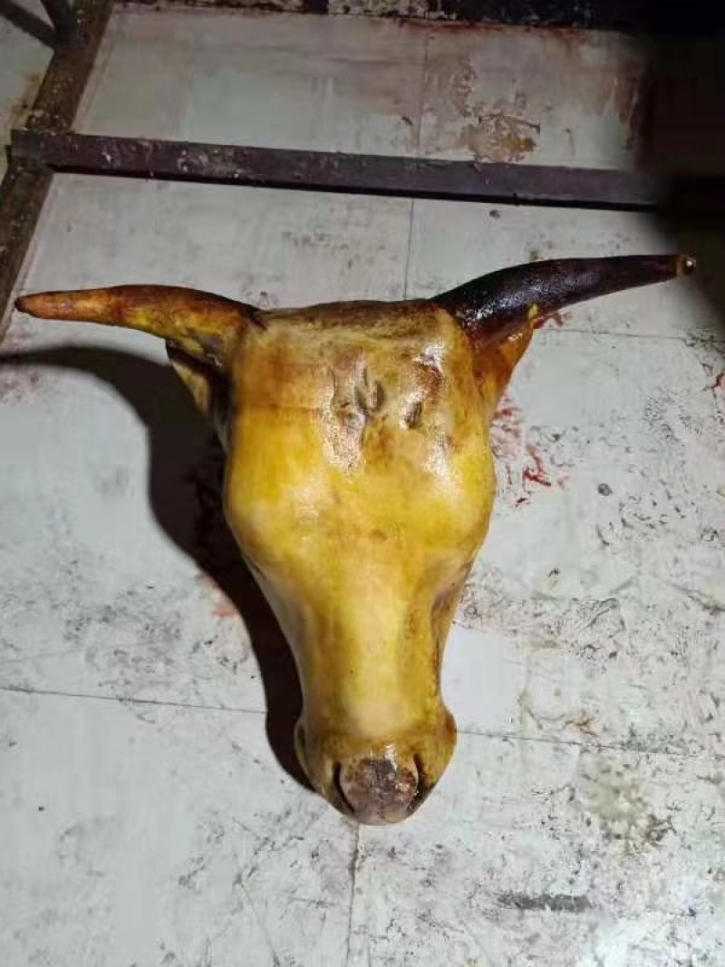 牛下水，羊下水，纯草原绿色食品，