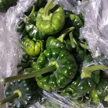 蔬菜