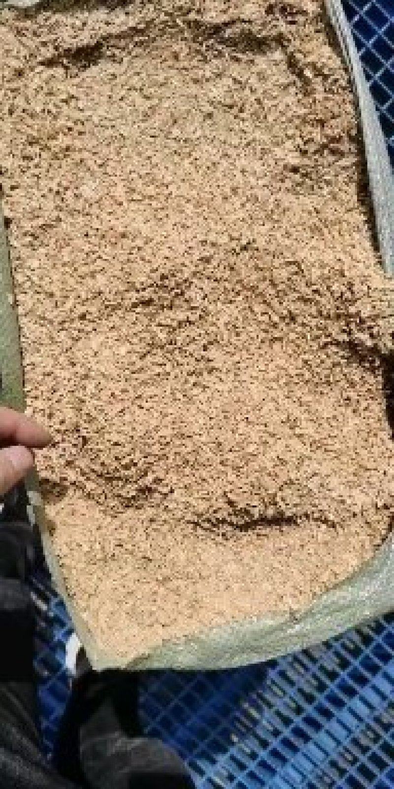全新压缩稻壳整装上市