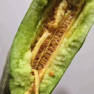 甜瓜