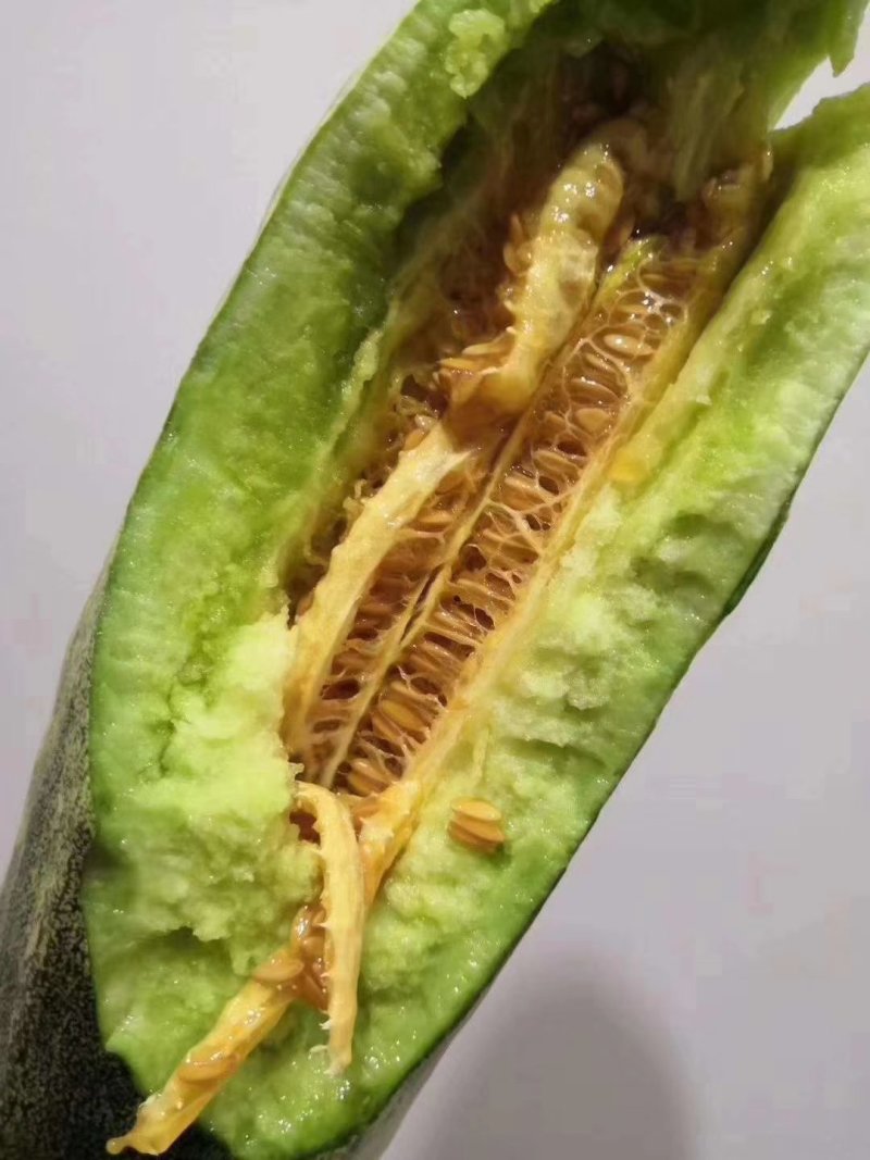 甜瓜