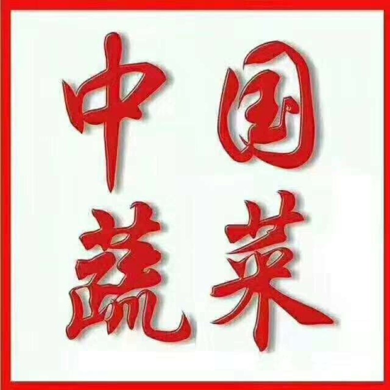 甜瓜
