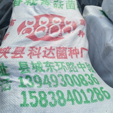 供应香菇，天麻，木耳，羊肚，桑黄菌种