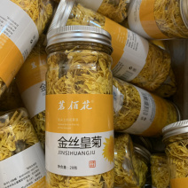 金丝皇菊9.9包邮一朵泡一杯水拍二发三一瓶起批