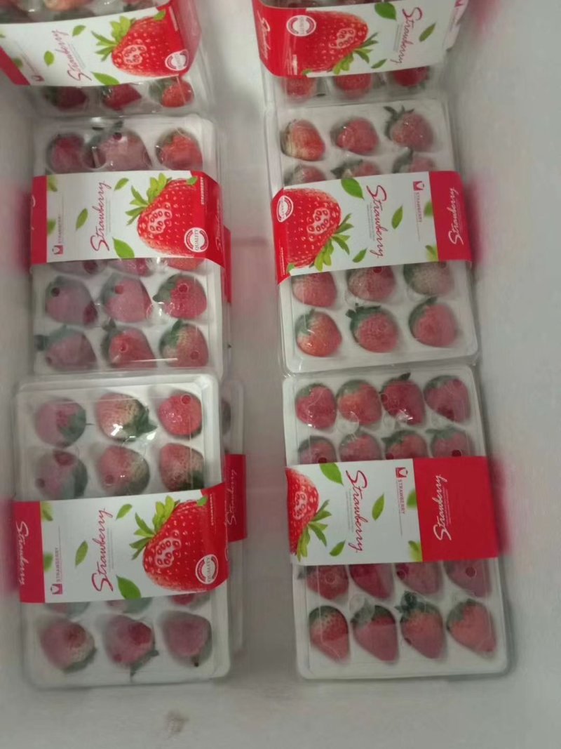 云南会泽夏草莓蒙特瑞品种，上量上市