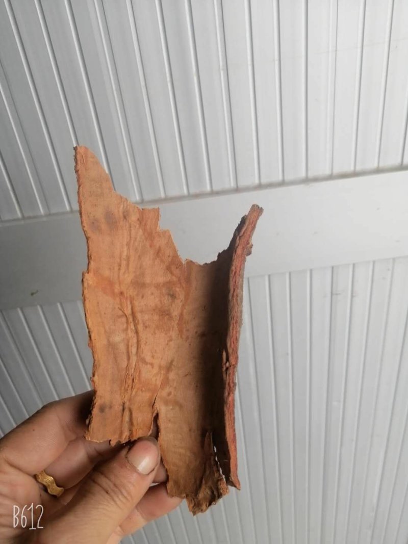 桂皮一级货广西一手货源