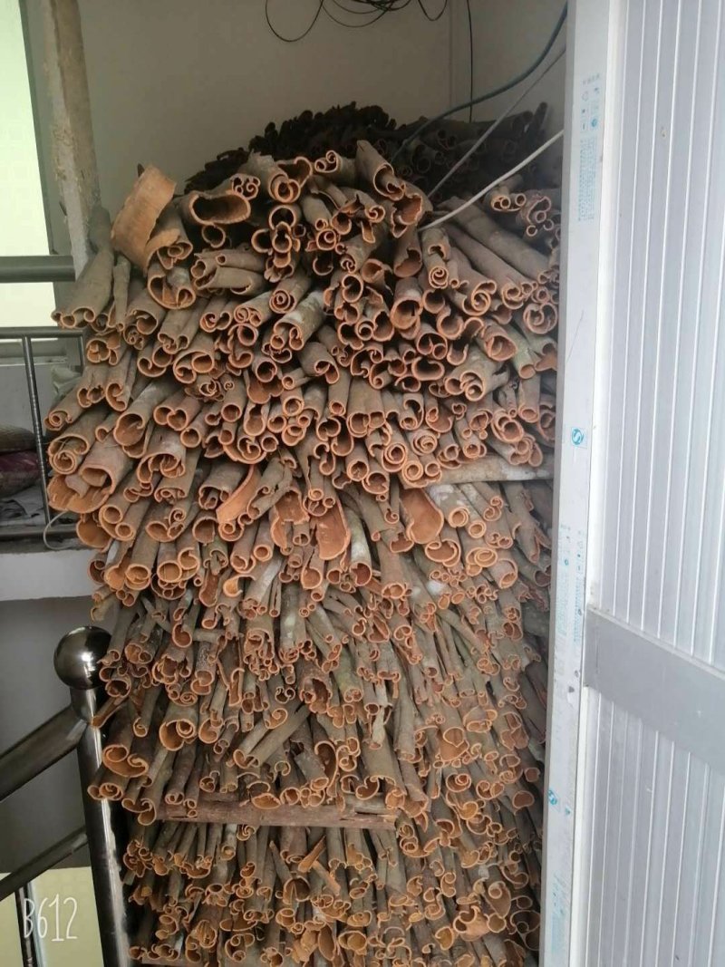 桂皮一级货广西一手货源