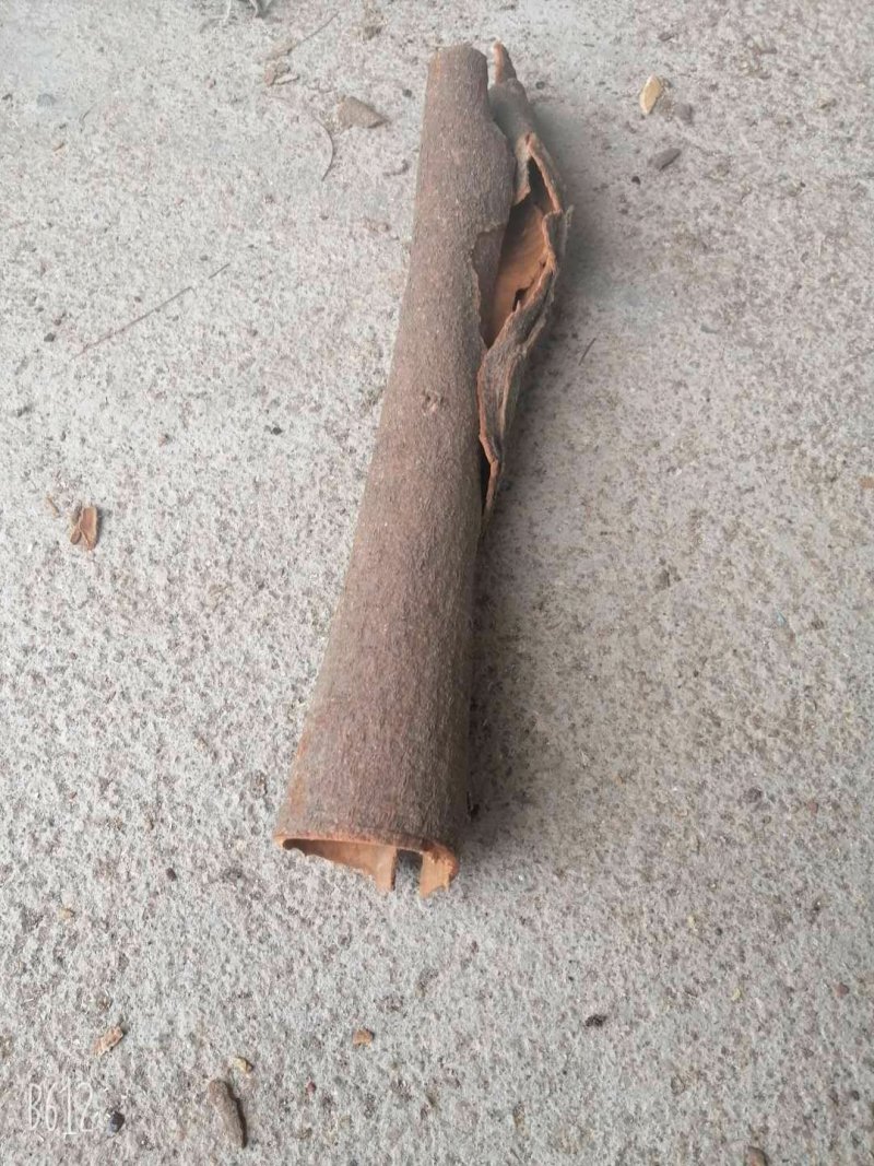 桂皮一级货广西一手货源