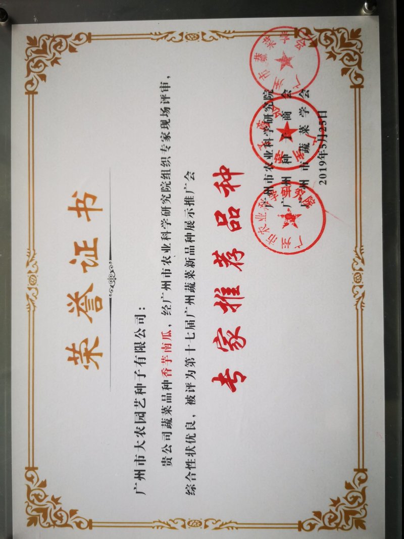 香味浓大果高产富贵香芋南瓜种子口感粉糯