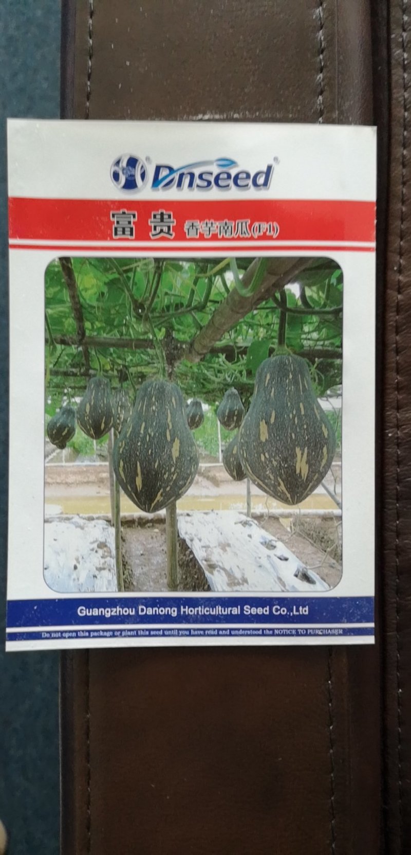香味浓大果高产富贵香芋南瓜种子口感粉糯