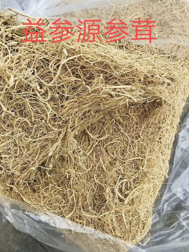 【特价】长白山6年生晒人参须（白参须）纯干产地量大优惠
