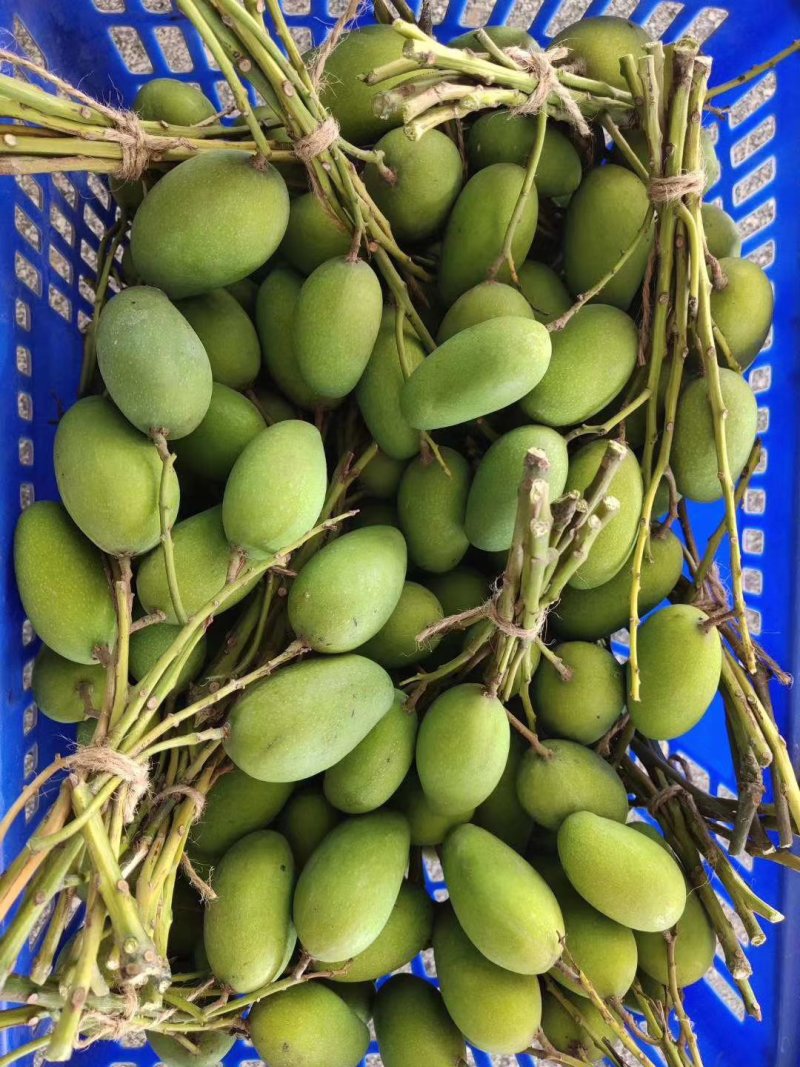 景谷小鸡香芒果