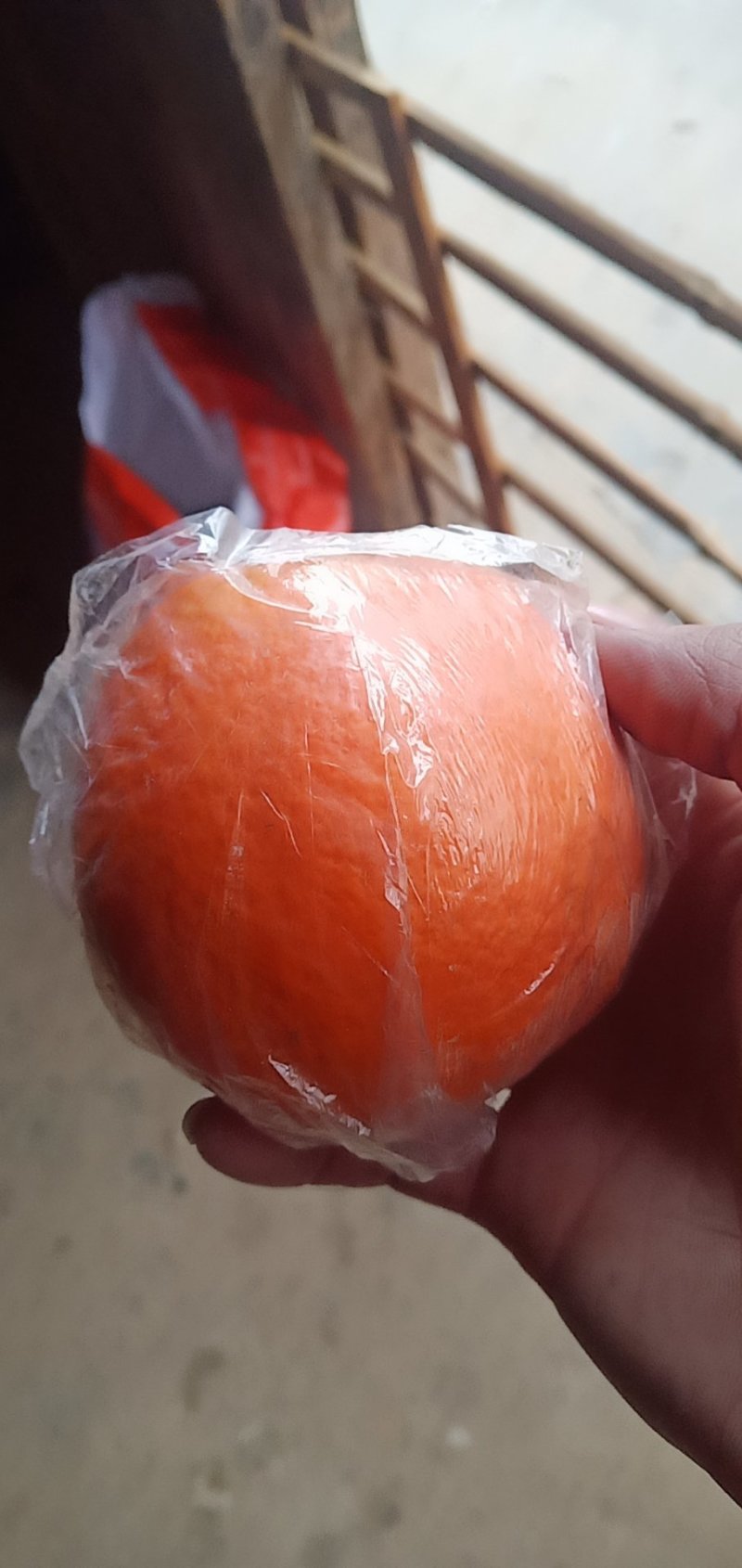 崀山脐橙精品7904脐橙