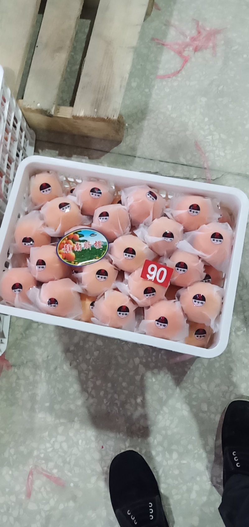 崀山脐橙精品7904脐橙