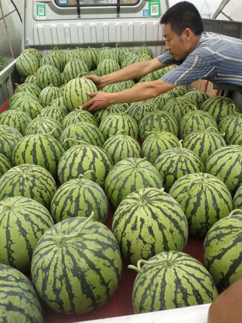 本地西瓜