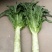 甘肃高原夏菜