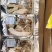 全国包邮云南精品懒人七彩菌汤包10包包邮