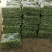 山东精品油菜蔬菜内有大型冷库本公司发票物流配送一条龙服务