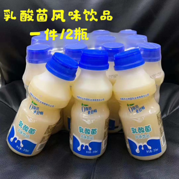 达利园益生菌乳酸菌胃动力饮品一手货源地摊跑量