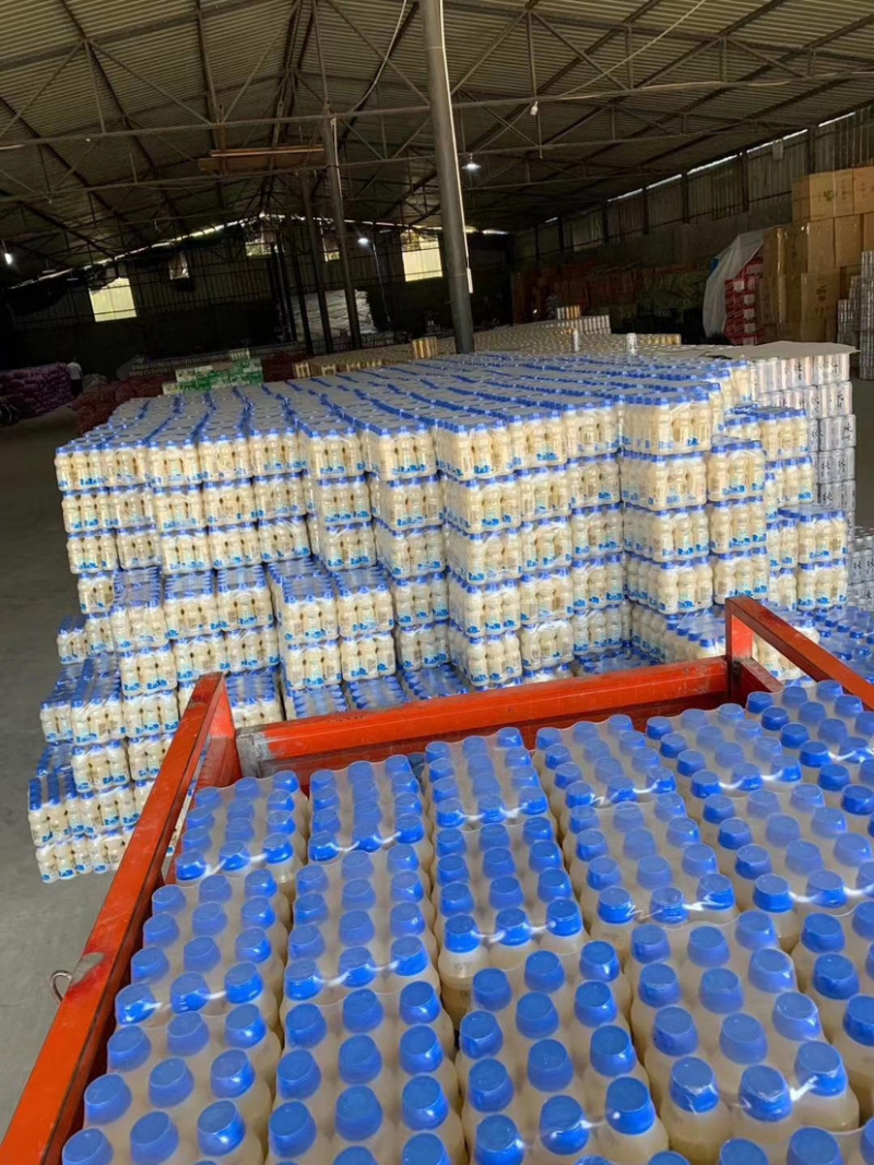 达利园益生菌乳酸菌胃动力饮品一手货源地摊跑量