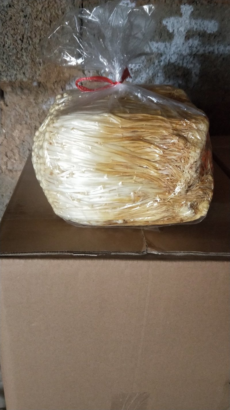 黄金针菇大量上市中，质量更好，精品黄金针菇多种包装！