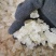 批发缅甸拉丝雪燕美颜三宝2A3a4a